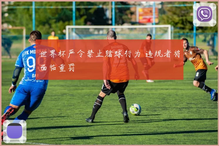 世界杯严令禁止赌球行为 违规者将面临重罚