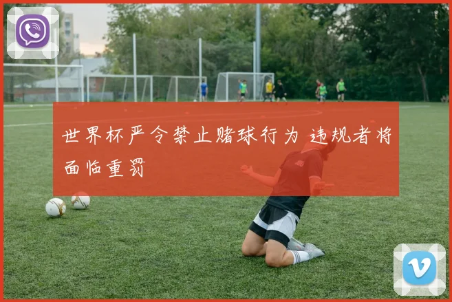 世界杯严令禁止赌球行为 违规者将面临重罚