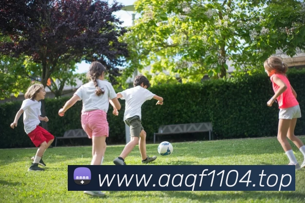 App Interface Preview